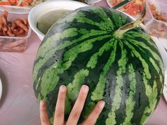 -鹅湖玫瑰文化园