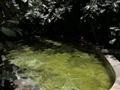 -大盘山温泉山庄