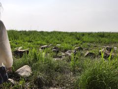 -吴淞炮台湾湿地森林公园烧烤区