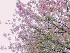 -宜兴龙背山森林公园