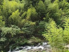 -莫干山风景区