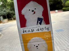 -兰州马子禄牛肉面(文景公园店)