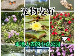 -新江湾城公园