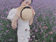 -紫颐香薰山谷景区