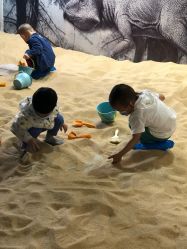 -恐龙探索乐园(磁器口店)