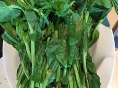 豌豆尖-滇釜火锅·能喝汤的火锅(车公庄店)