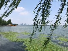 -东湖生态旅游风景区