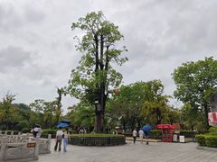 -粤晖园