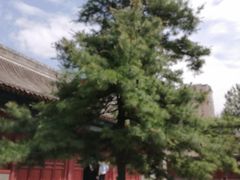 -大钟寺古钟博物馆