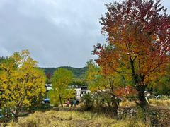 -塔川景区