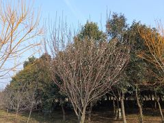 -潇湘国际影城(天马店)