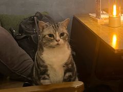 -咖法森林·咖啡  酒吧(天河店)