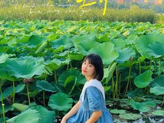 -前关湿地公园