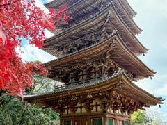-醍醐寺