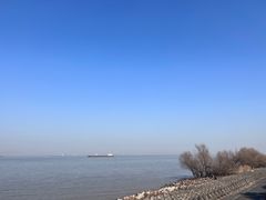 -上海滨江森林公园