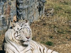 -济南野生动物世界