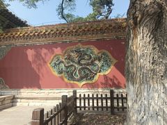 -沈阳市东陵公园