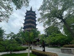 -红梅公园