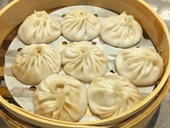 -莱莱小笼·乔艾