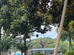 -宁波九龙湖开元度假村
