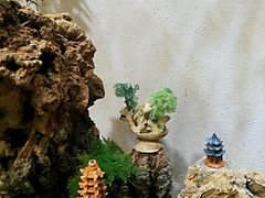 -山海经·海边人家 海鲜新青岛菜(扬州路店)