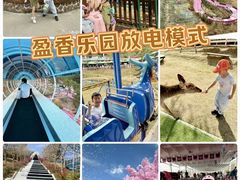 -盈香心动乐园