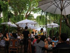-Fern Forest Cafe