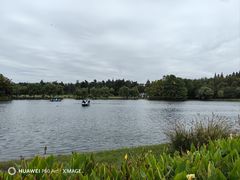 -上海共青森林公园