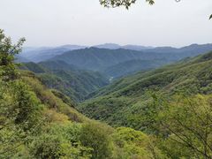 -牛背梁国家森林公园