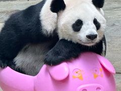 -和平行旅·全女旅宿(永庆坊店)