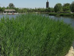 -西海子公园