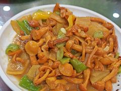 -五谷丰香饺子馆(总店)