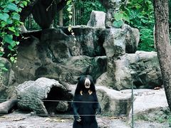 -清迈夜间动物园