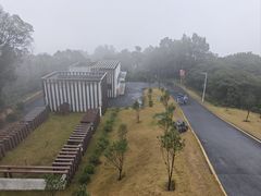 -黄埔油麻山森林公园