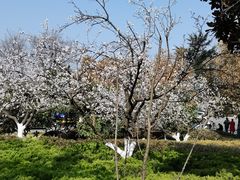 -云龙湖旅游景区