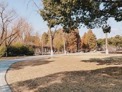 -阳澄湖半岛旅游度假区