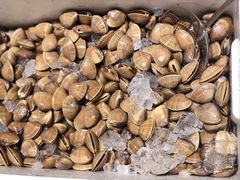 -烧货·活海鲜炭烧(湖滨商业街店)