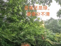 -杭州黄龙洞