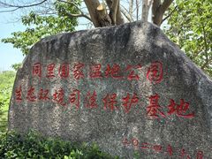 -同里国家湿地公园