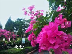 -铁路文化公园
