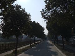 -喜洋洋蟹庄(阳澄湖店)