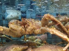 -官也街澳门火锅(新源里店)