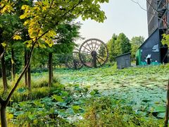 -东台西溪天仙缘景区