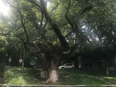 -中国美术学院象山校区-民艺博物馆