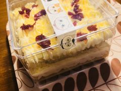 -猫咪博物馆(顶澳仔猫街店)