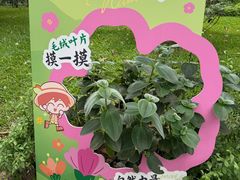 -云溪植物园