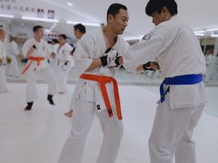 -极真空手道修远道场