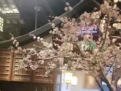 -绿茶餐厅(千岛湖银泰城店)