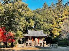 -醍醐寺