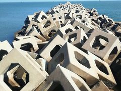 -东疆建设开发纪念公园